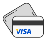 Visa Logo